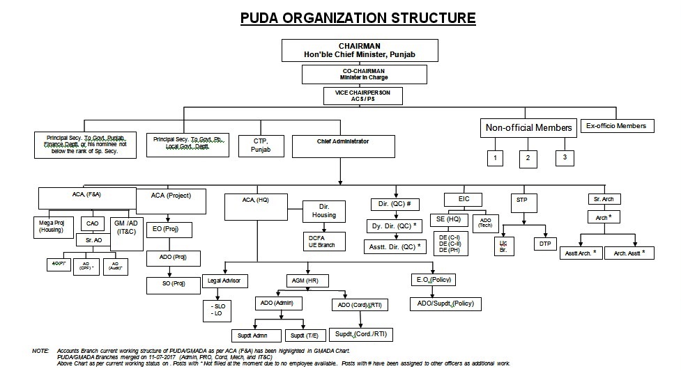 organization